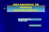 MECANISMOS DE DEFESA RESPIRATÓRIOS FISIOTERAPIA – FMRPUSP Paulo Evora.