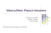 Vasculites Pauci-imunes Renato Pontelli Simão Canga Victor Sato Disciplina de Nefrologia da FMUSP.