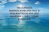 RECURSOS HIDROCARBUNETOS & HALIEUTICOS NA JDZ NIGÉRIA – SÃO TOMÉ PRINCIPE Por Dr. Arzemiro dos Prazeres, São Tomé, 28 de Maio de 2014.