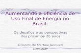Aumentando a Eficiência do Uso Final de Energia no Brasil: Os desafios e as perspectivas dos próximos 20 anos Gilberto De Martino Jannuzzi UNICAMP.