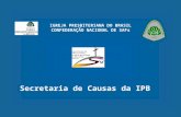IGREJA PRESBITERIANA DO BRASIL CONFEDERAÇÃO NACIONAL DE SAFs Secretaria de Causas da IPB.