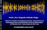 Profa. Dra. Eugenia Velludo Veiga evveiga@glete.eerp.usp.br Oficina de Projetos em Esfigmomanometria- Departamento de Enfermagem Geral e Especializada-