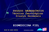 ENSAIOS IMUNOQUÍMICOS Técnicas Imunológicas Ensaios Hormonais BIOMEDICINA FIEL DAISY DE SOUZA ARAÚJO PATOLOGISTA-CLÍNICO.