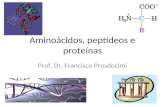 Aminoácidos, peptídeos e proteínas Prof. Dr. Francisco Prosdocimi.
