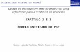 UNIVERSIDADE FEDERAL DO PARANÁ Gestão de desenvolvimento de produtos: uma referência para a melhoria do processo CAPÍTULO 2 E 3 MODELO UNIFICADO DO PDP.