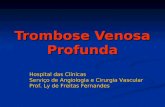 Trombose Venosa Profunda Hospital das Cl­nicas Servi§o de Angiologia e Cirurgia Vascular Prof. Ly de Freitas Fernandes