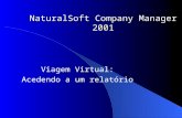 NaturalSoft Company Manager 2001 Viagem Virtual: Acedendo a um relatório.