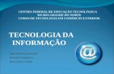 CENTRO FEDERAL DE EDUCAÇÃO TECNOLÓGICA DO RIO GRANDE DO NORTE CURSO DE TECNOLOGIA EM COMÉRCIO EXTERIOR TECNOLOGIA DA INFORMAÇÃO ANA LETÍCIA RAULINO BEATRIZ.