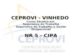 CEPROVI - VINHEDO Curso Técnico em Segurança do Trabalho Segurança do Trabalho e Saúde Ocupacional NR 5 - CIPA.