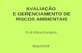 AVALIAÇÃO E GERENCIAMENTO DE RISCOS AMBIENTAIS Prof Eltiza Rondino Maio/2009.
