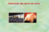 Obtenção da carne de aves. Operações pré-abate: fluxograma dos processos  Considerações: uniformidade do peso dos frangos  Inspeção do lote: organização.