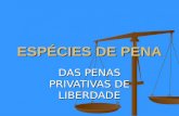 ESPÉCIES DE PENA DAS PENAS PRIVATIVAS DE LIBERDADE.