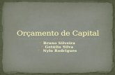 Bruno Silveira Getúlio Silva Nylo Rodrigues Orçamento de Capital é um conjunto de técnicas que o administrador financeiro usa para avaliar os projetos.