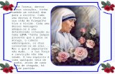 Madre Teresa, dentre tantas vocações, tinha também um notável dom para a escrita. Cada uma destas é fruto de sua vida do Evangelho Vivo e Vivido. Cada.