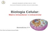 FUNDAÇÃO PRESIDENTE ANTÔNIO CARLOS - FUPAC FACULDADE PRESIDENTE ANTÔNIO CARLOS DE UBERLÂNDIA Biologia Celular: Matriz intracelular e extracelular Prof.
