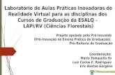 Laboratório de Aulas Práticas Inovadoras de Realidade Virtual para as disciplinas dos Cursos de Graduação da ESALQ – LAPI/RV (Ciências Florestais) Projeto.