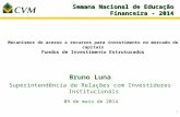 Mecanismos de acesso a recursos para investimento no mercado de capitais Fundos de Investimento Estruturados 1 Bruno Luna Superintendência de Relações.