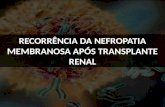 RECORRÊNCIA DA NEFROPATIA MEMBRANOSA APÓS TRANSPLANTE RENAL.