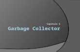 Capítulo 5. Garbage Collector  Introdução  Funcionamento do Garbage Collector  Execução do Garbage Collector  O método finalize()  Preparando o objeto.