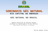 SEMINARIO GÁS NATURAL RIO CAPITAL DA ENERGIA GÁS NATURAL NO BRASIL Symone Christine de Santana Araújo Diretora do Departamento de Gás Natural Ministério.