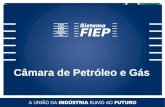 Câmara de Petróleo e Gás. Evolução dos Investimentos Petrobras (US$ bilhões em valores de 2009) Com o investimento Previsto no PN 2010-14, a Petrobras.