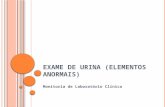 EXAME DE URINA (ELEMENTOS ANORMAIS) Monitoria de Laboratório Clínico.