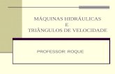 MÁQUINAS HIDRÁULICAS E TRIÂNGULOS DE VELOCIDADE PROFESSOR: ROQUE.