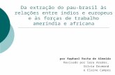 Da extração do pau-brasil às relações entre índios e europeus e às forças de trabalho ameríndia e africana por Raphael Rocha de Almeida Revisado por Sara.