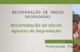 RECUPERAÇÃO DE ÁREAS DEGRADADAS RECUPERAÇÃO DE SOLOS Agentes de Degradação Prof. Fernando Pires.
