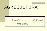 AGRICULTURA Professor – Alfredo Rosendo. Técnica de trabalho no solo que tem como objetivo produzir alimentos para atender as necessidades alimentares.