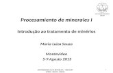 Procesamiento de minerales I Introdução ao tratamento de minérios Maria Luiza Souza Montevideo 5-9 Agosto 2013 1 UNIVERSIDADE DE LA REPUBLICA – URUGUAY.
