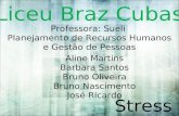 Aline Martins Barbara Santos Bruno Oliveira Bruno Nascimento José Ricardo Professora: Sueli Planejamento de Recursos Humanos e Gestão de Pessoas Stress.