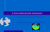 A SOCIABILIDADE HUMANA INTRODUÇÃO AO DIREITO BRASILIANO BRASIL BORGES.