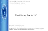 Fertilização in vitro Universidade Federal de Minas Gerais Ciências biológicas - Noturno Disciplina:Embriologia geral Grupo: Cintia Ribeiro, Jaqueline.