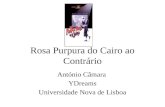 Rosa Purpura do Cairo ao Contrário António Câmara YDreams Universidade Nova de Lisboa.
