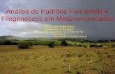 Análise de Padrões Funcionais e Filogenéticos em Metacomunidades Valério De Patta Pillar Departmento de Ecologia Universidade Federal do Rio Grande do.