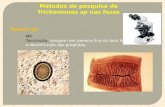 Taenia sp Métodos de pesquisa de Trichomonas sp nas fezes MIF Tamização: lavagem em peneira fina do bolo fecal e identificação das proglotes.