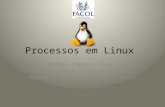 Processos em Linux Aluno: Raphael Franklin Professor: Hugo Vieira L. de Souza Disciplina: Sistemas Operacionais.