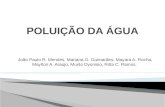 João Paulo R. Mendes, Mariana O. Guimarães, Mayara A. Rocha, Maylton A. Araújo, Murilo Dyonisio, Ritta C. Ramos.