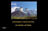 Homenagem a Torres do Paine por Ignácio Larrañaga clic para ver el texto.