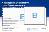 A Inteligência Colaborativa como Ferramenta para Gestão de Redes e Análise de Patentes em Dengue: um estudo de caso aplicado à saúde pública Dr. Jorge.