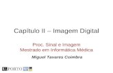 Capítulo II – Imagem Digital Proc. Sinal e Imagem Mestrado em Informática Médica Miguel Tavares Coimbra.