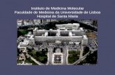 Instituto de Medicina Molecular Faculdade de Medicina da Universidade de Lisboa Hospital de Santa Maria.