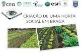 CRIAÇÃO DE UMA HORTA SOCIAL EM BRAGA.  O município de Braga cresceu imenso nos últimos anos. Um crescimento ímpar a nível nacional e uma aposta clara.