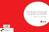 Eficiência e Inovação no sector da energia Jorge Cruz Morais.