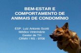 BEM-ESTAR E COMPORTAMENTO DE ANIMAIS DE CONDOMÍNIO ESP. Luiz Antonio Scotti Médico Veterinário Gestor de TH CRMV / RS - 9706.