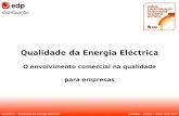 Coimbra – Lisboa – Porto, Maio 2007Seminário – Qualidade da Energia Eléctrica Qualidade da Energia Eléctrica O envolvimento comercial na qualidade para.