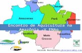 Encontro de Aquicultura na Amazônia –V ENAq Geraldo Bernardino–gbsecpesca@ig.com.–gbsecpesca@ig.com.