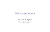 NP-Completude Liliane Salgado liliane@cin.ufpe.br.