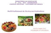 Perfil Profissional do Técnico em Fruticultura MINISTÉRIO DA EDUCAÇÃO IF – SUL – RIO - GRANDENSE CAMPUS PELOTAS - VISCONDE DA GRAÇA Prof. Dr. Corlett,